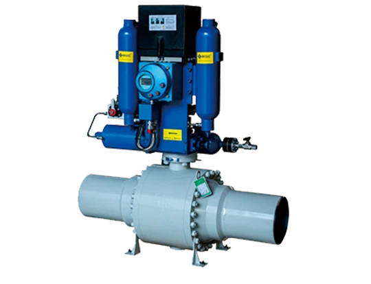 Globe Valve